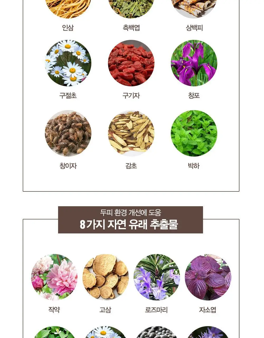 [변우석 Pick]다슈 안티헤어로스 픽서미스트 120ml (탈모증상완화) 상세페이지 6